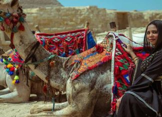 Guide to Navigating  Egypt by Train Cruise and Bus